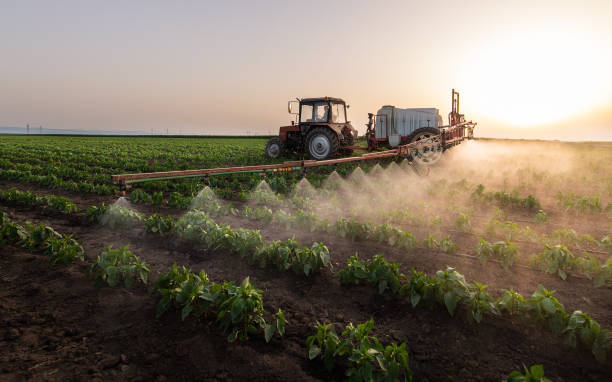 Best Mosquito Control Services  in Mill Plain, CT
