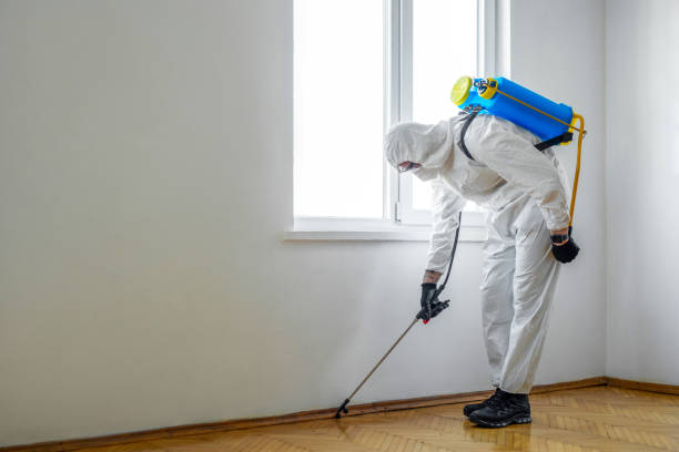 Best Wildlife Control Services  in Mill Plain, CT