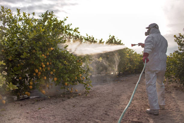 Professional Pest Control in Mill Plain, CT