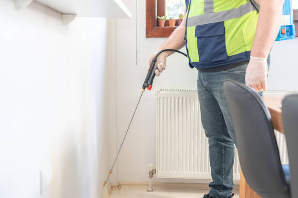 Best Ant Control Services  in Mill Plain, CT