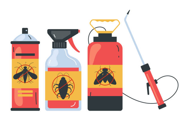 Wasp Removal Services in Mill Plain, CT