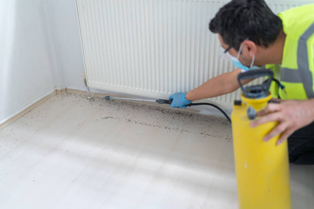 Best Mosquito Control Services  in Mill Plain, CT