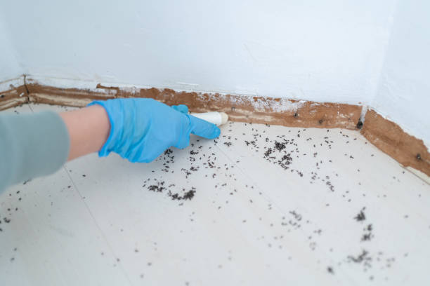 Best Commercial Pest Control Services  in Mill Plain, CT